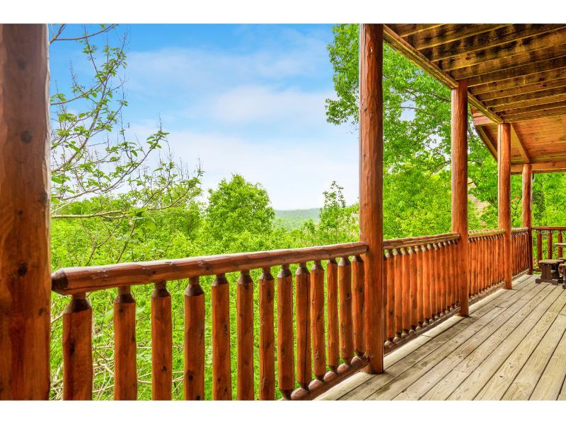 Bearly Chocolate (2) | Photo 11