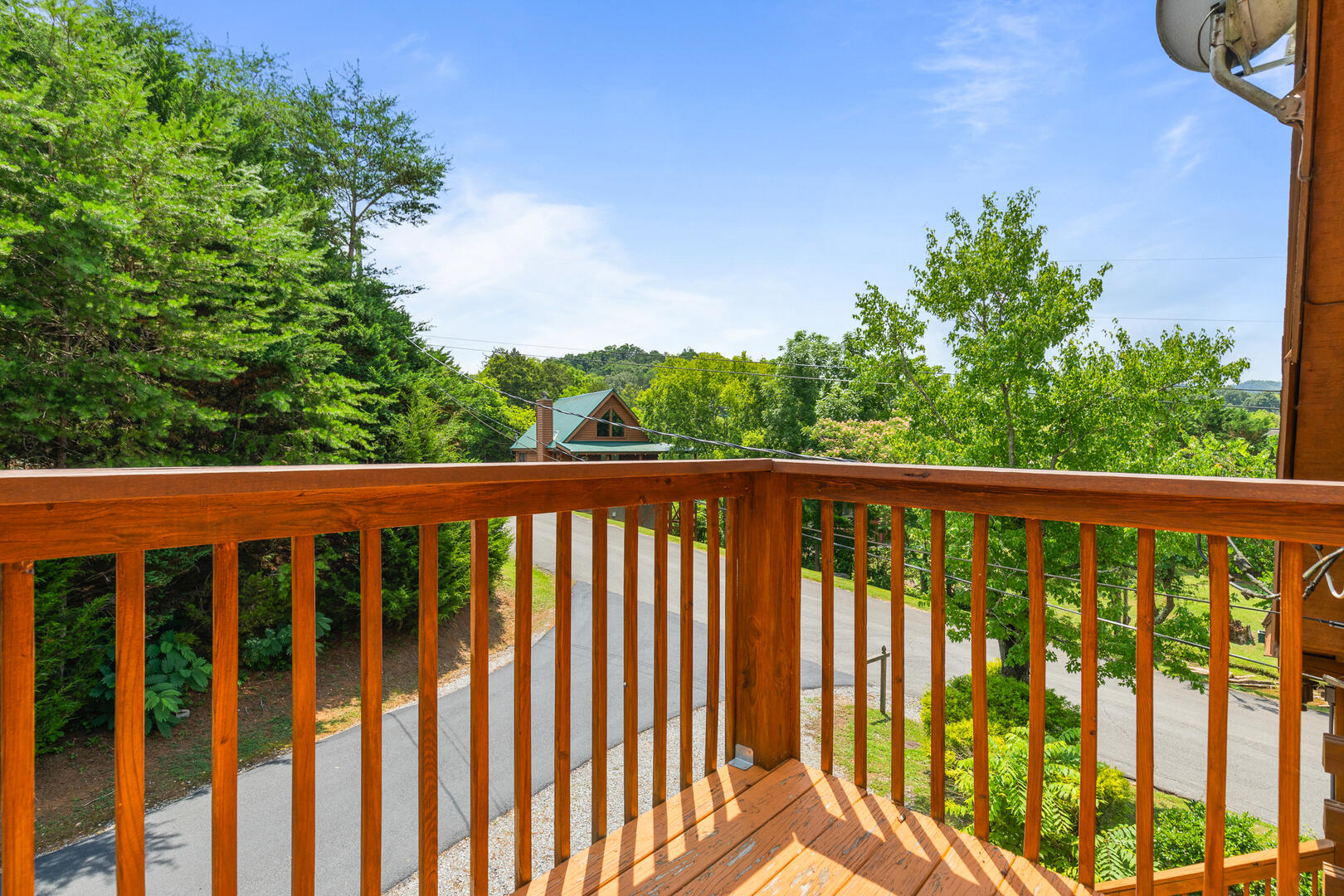 Three Bears | Photo 290