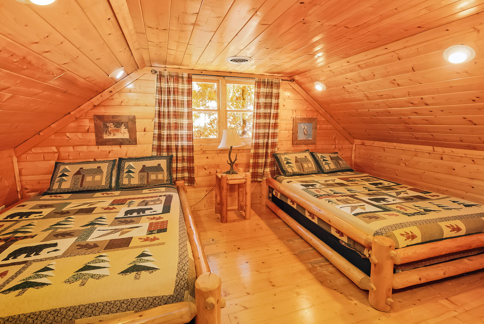 Center of Attention | Photo 210