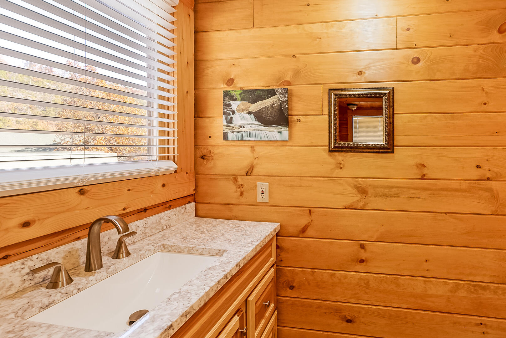 Center of Attention | Photo 230