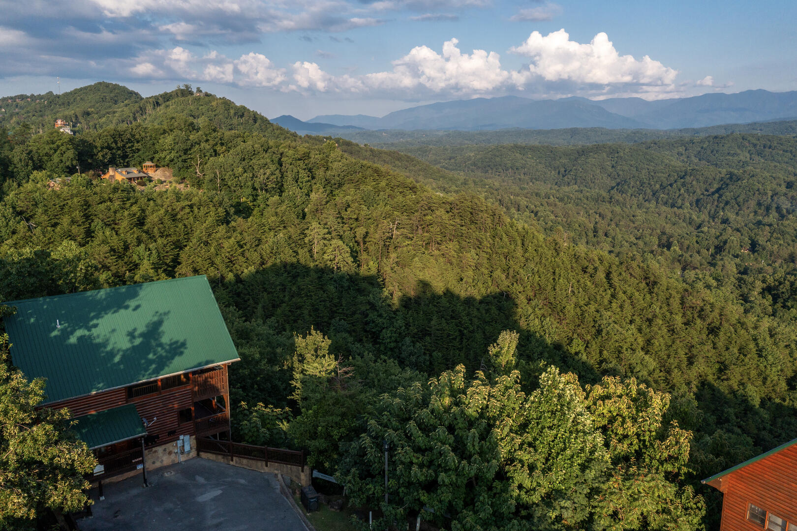 Beverly's Bearadise (2) | Photo 28