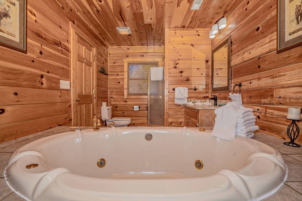 A Mountain Dream | Photo 280