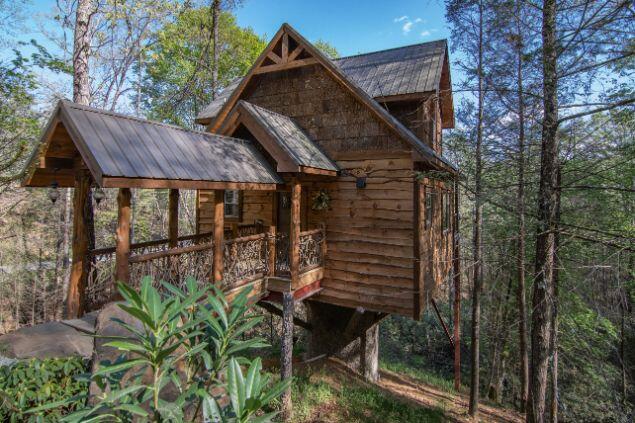 Out on a Limb TREEHOUSE