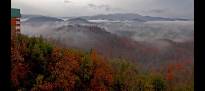 Lookout Lodge
