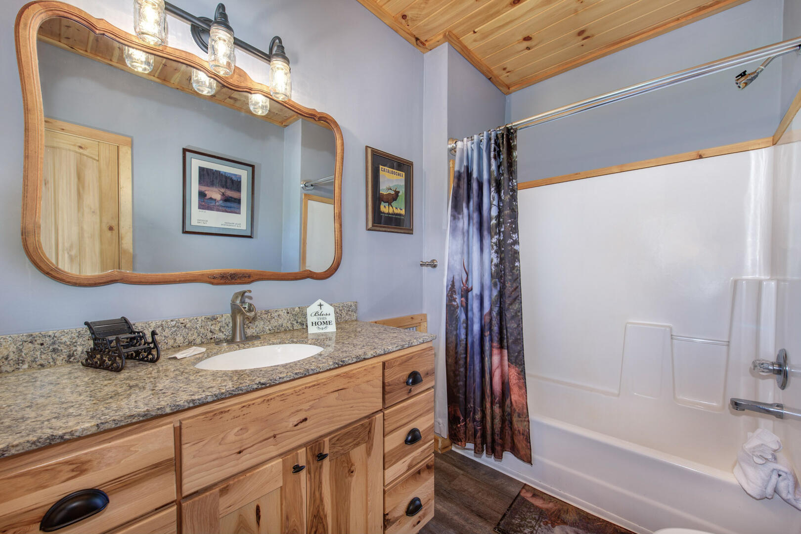 All About the Smokies | Photo 320