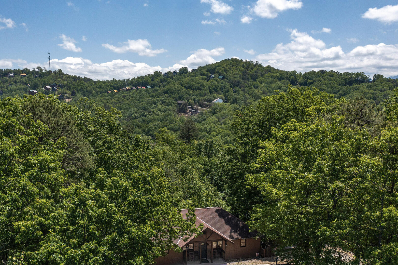 All About the Smokies | Photo 435