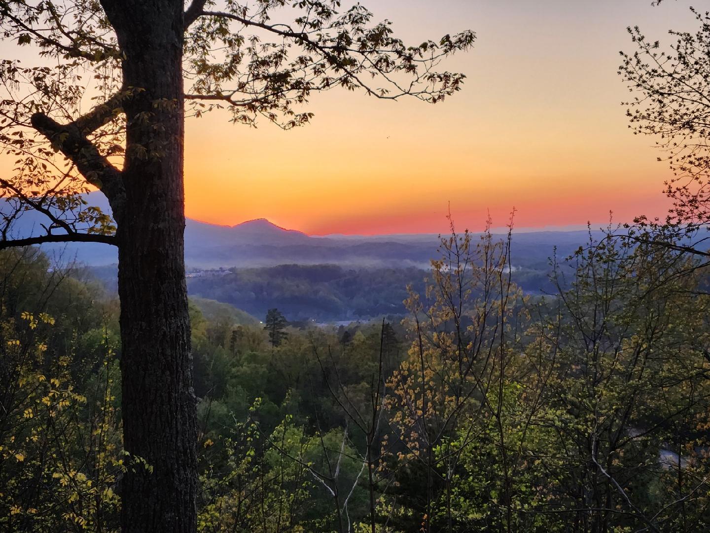 All About the Smokies | Photo 550