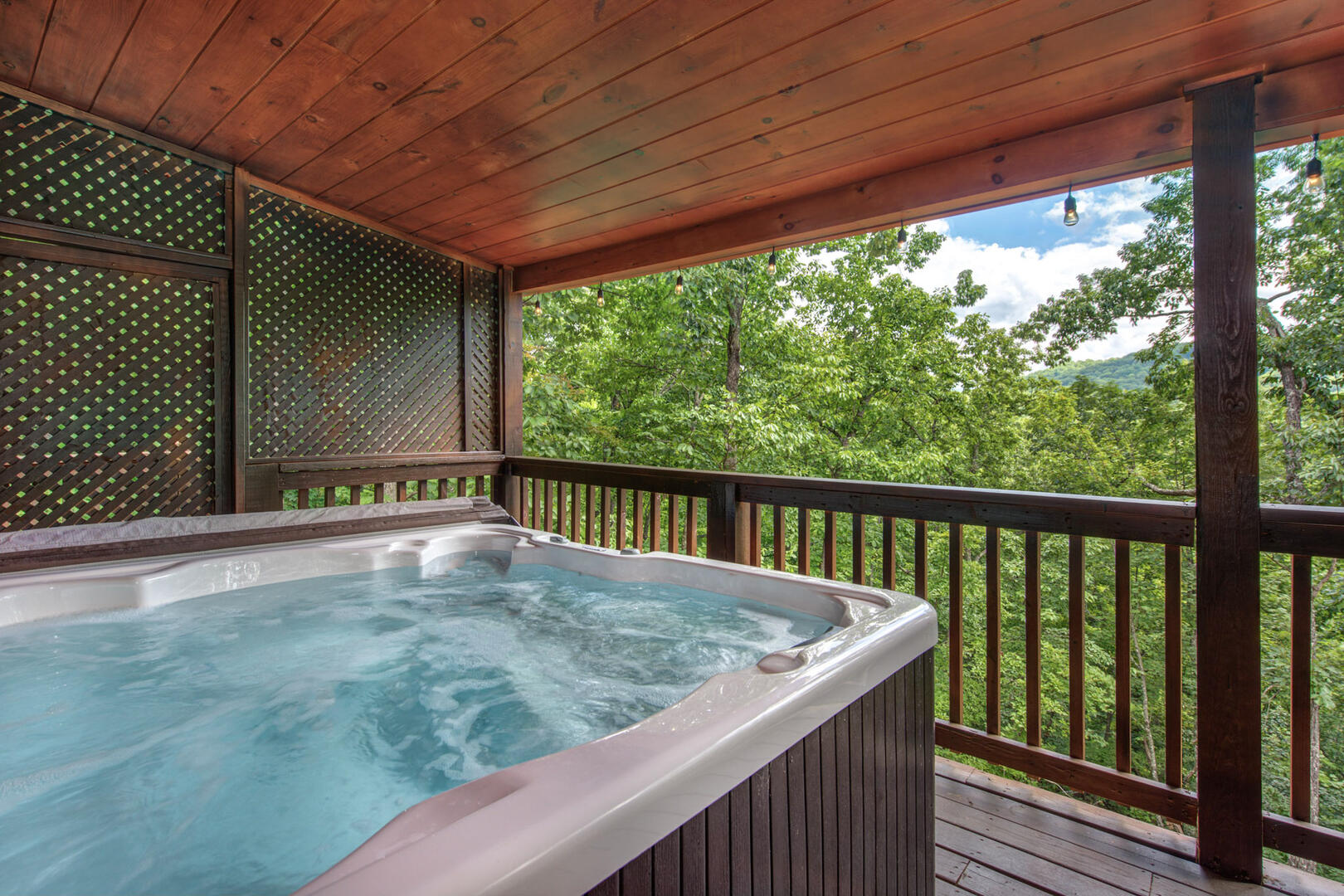 Beary Nice to Meet You! | Photo 370