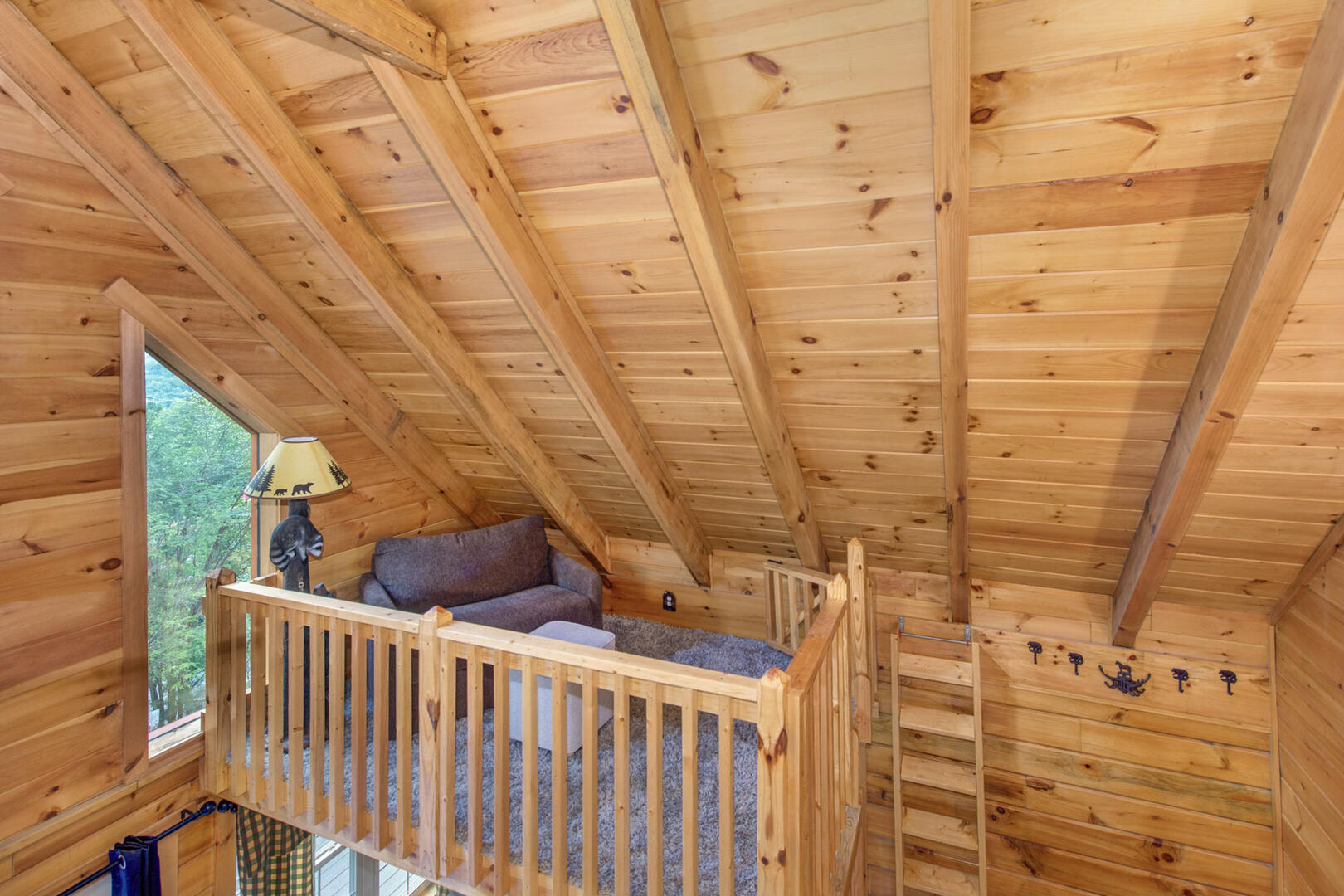 Beary Nice to Meet You! | Photo 65