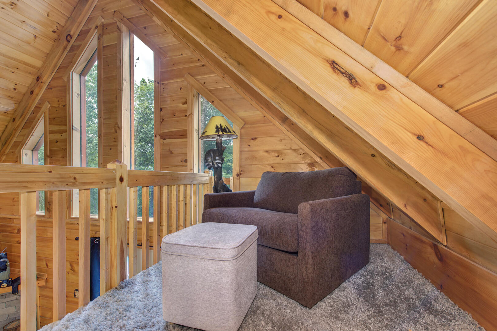 Beary Nice to Meet You! | Photo 55