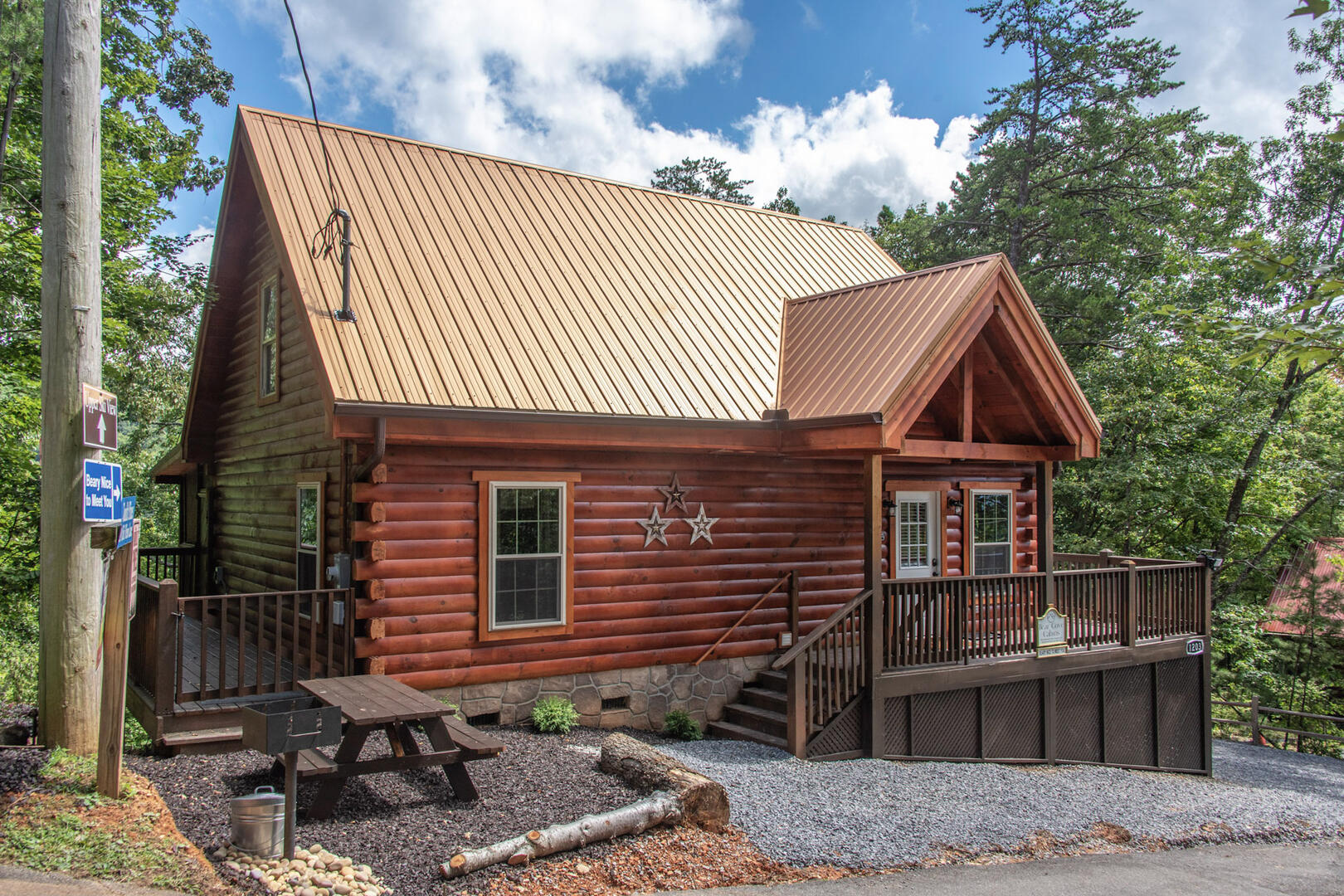 Beary Nice to Meet You! | Photo 490