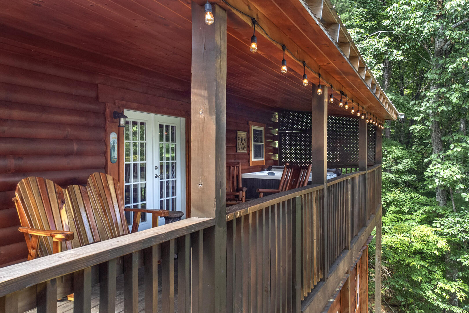 Beary Nice to Meet You! | Photo 520