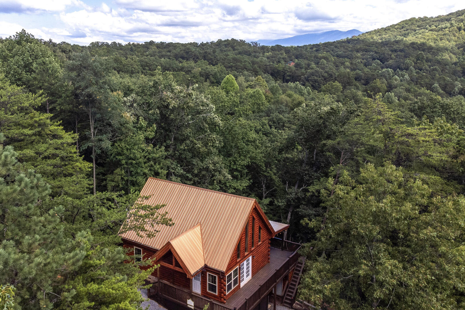 Beary Nice to Meet You! | Photo 540