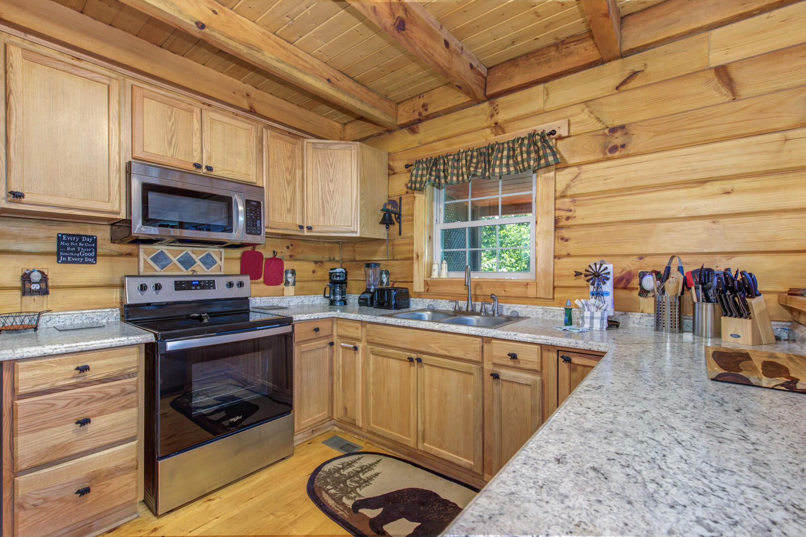 Beary Nice to Meet You! | Photo 35