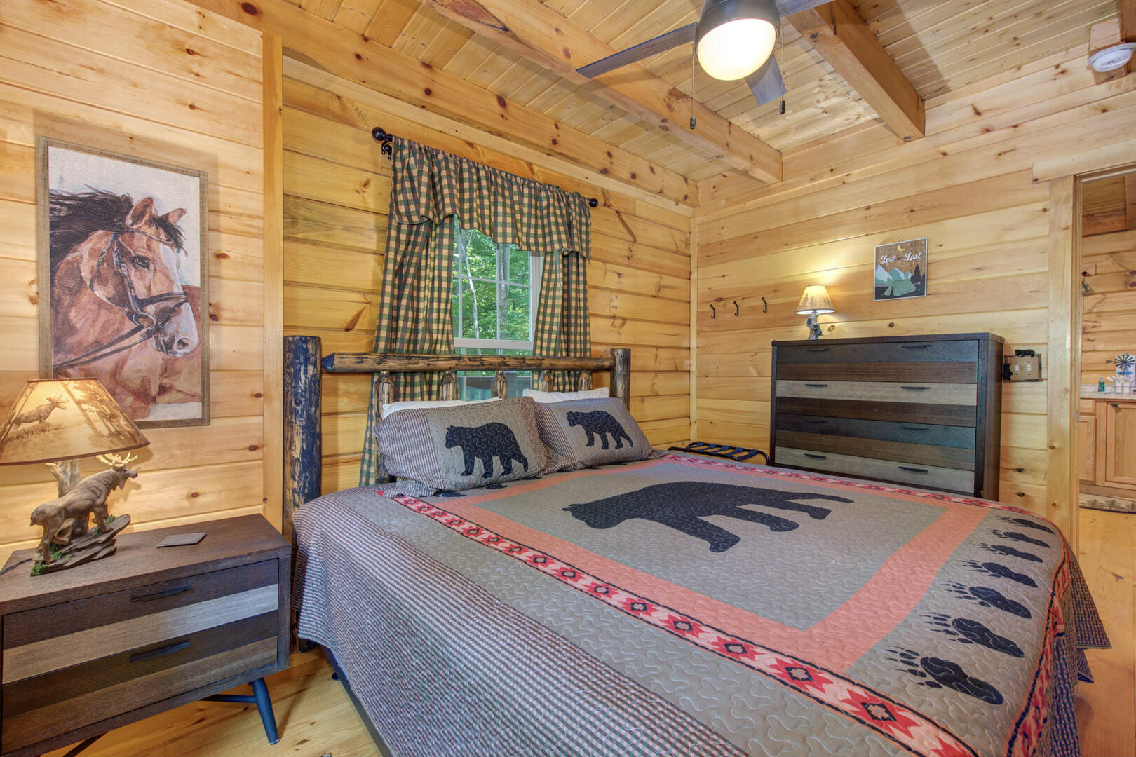 Beary Nice to Meet You! | Photo 45