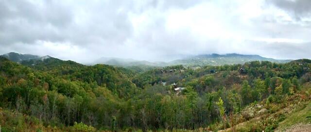 Coal Camp Lodge | Photo 1065