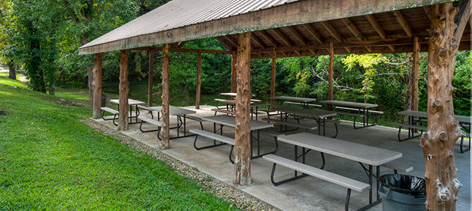 Catch Me If You Can | Photo 620