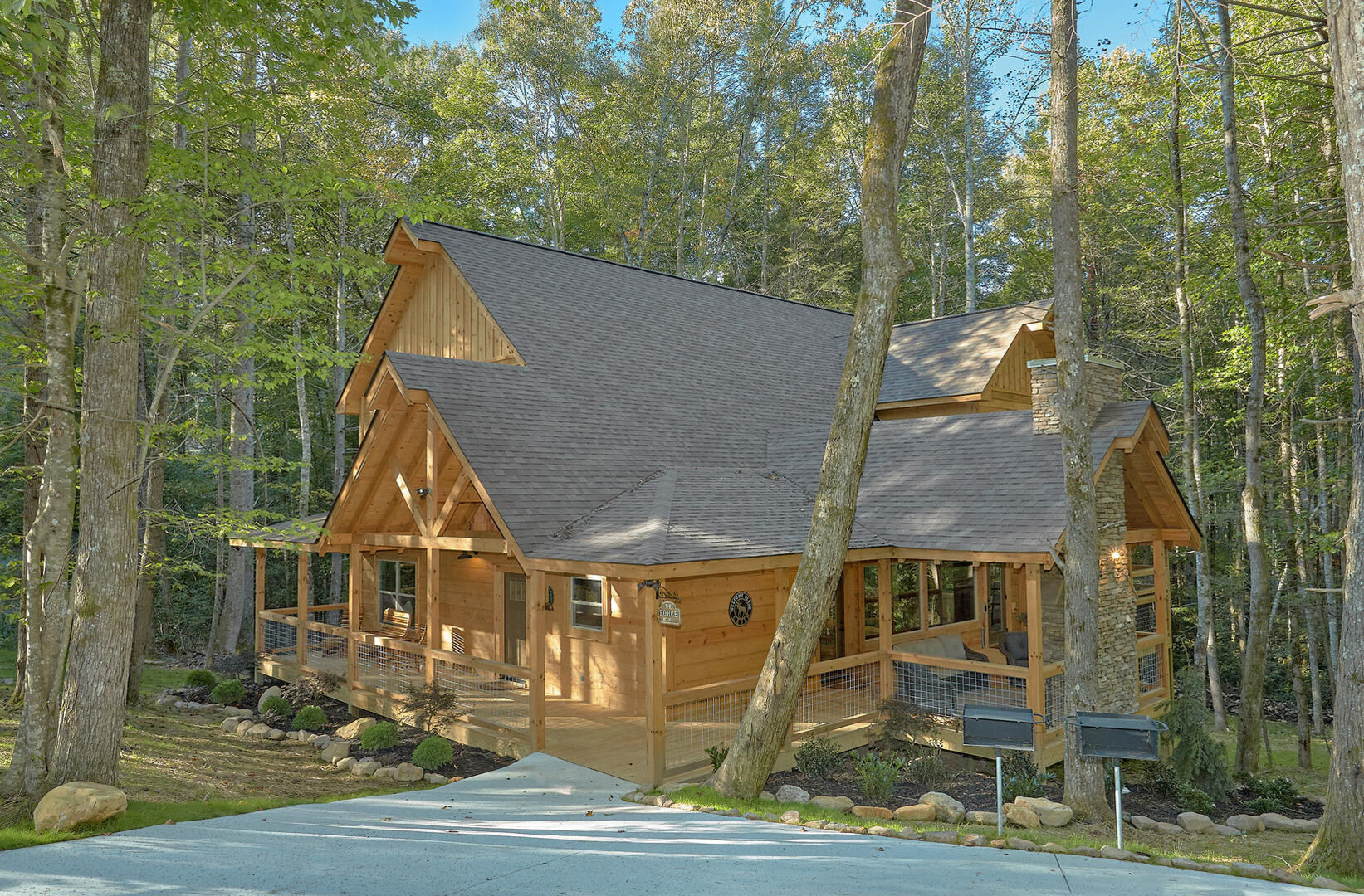 Livin' It Up | Photo 21