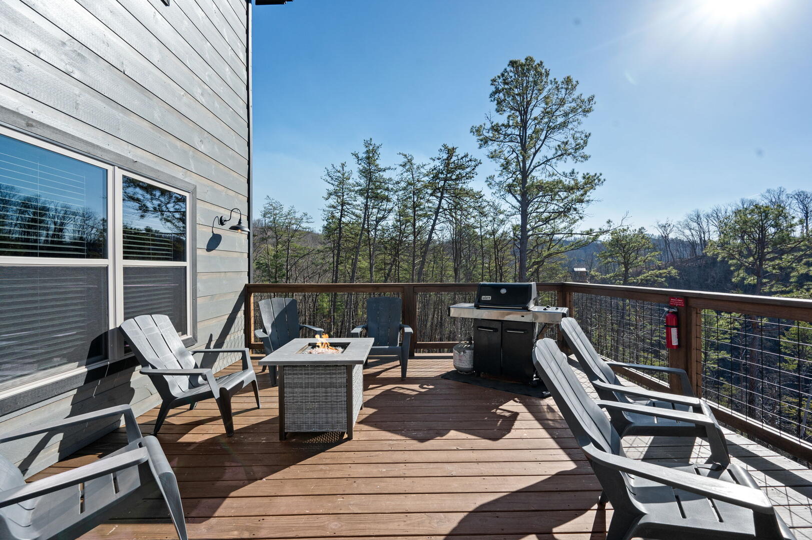 The Phoenix | Photo 57