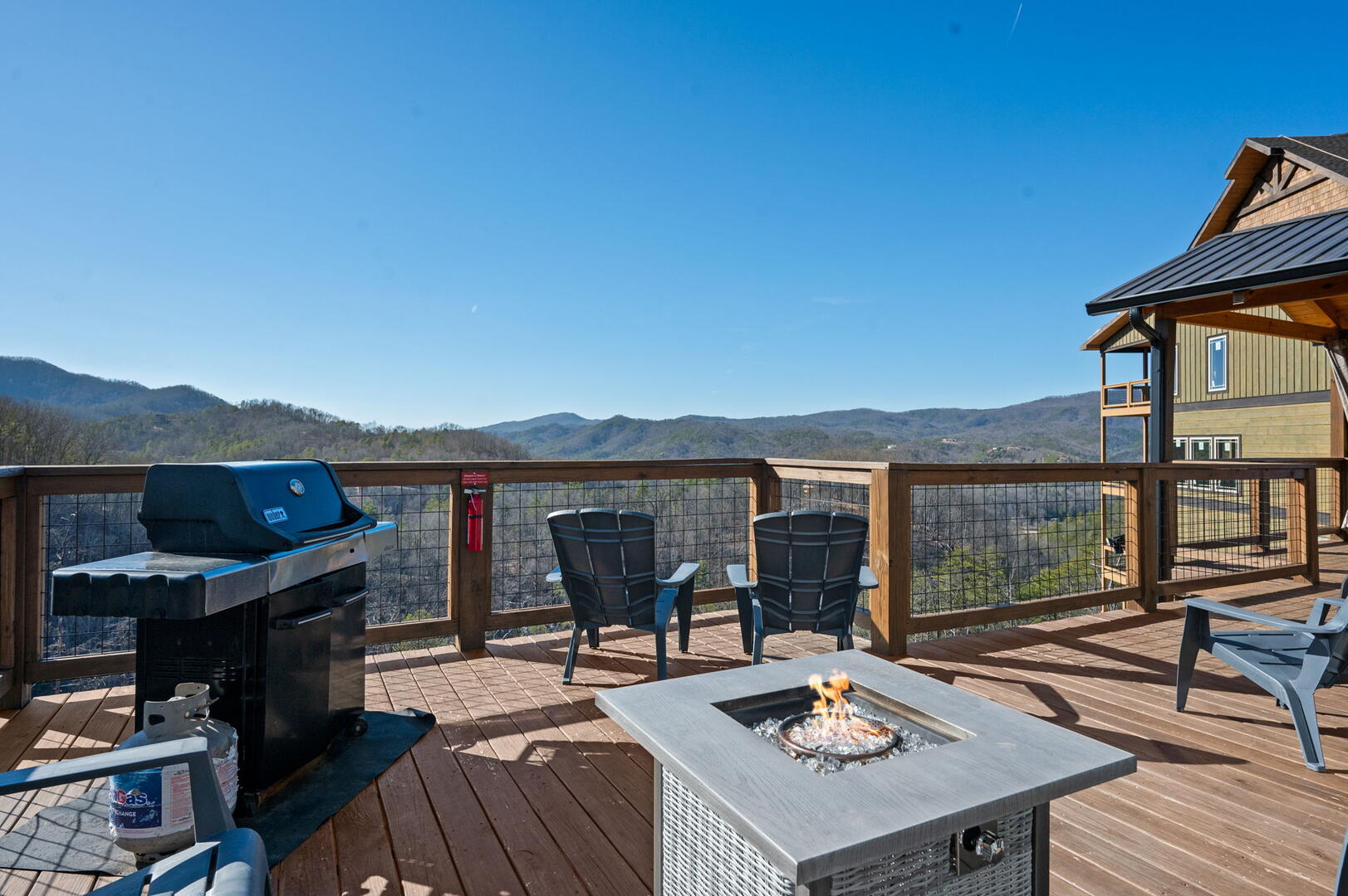 The Phoenix | Photo 58