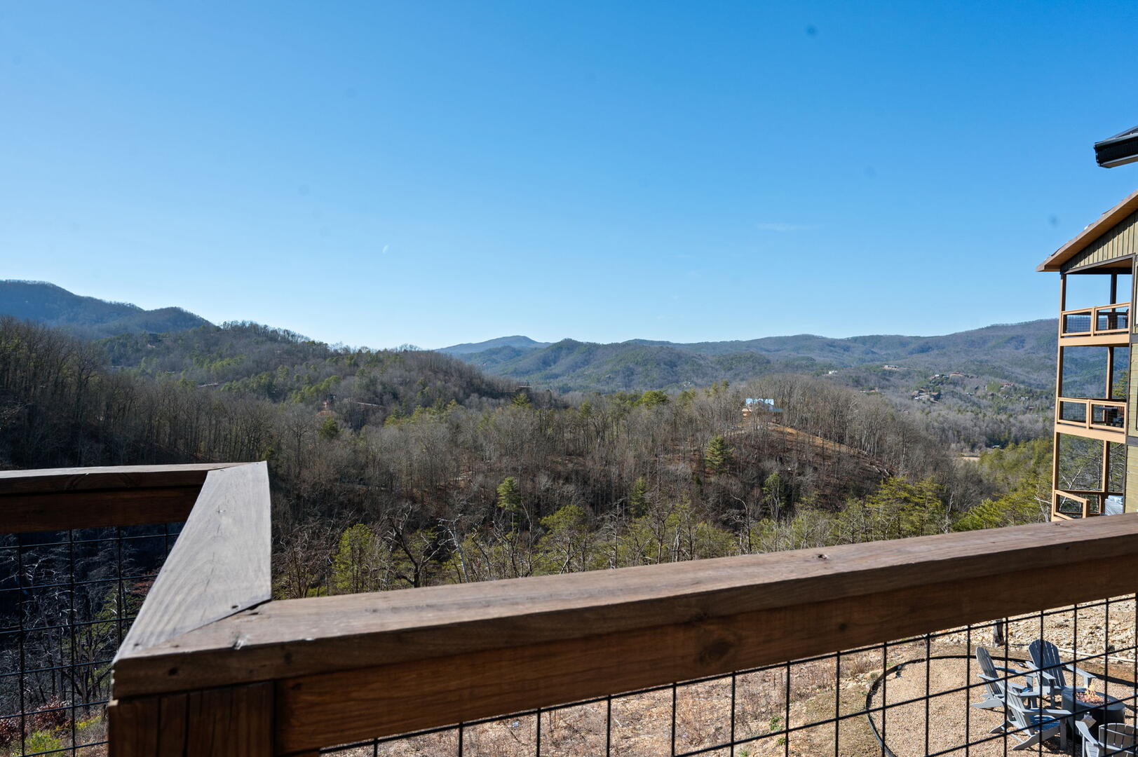 The Phoenix | Photo 59