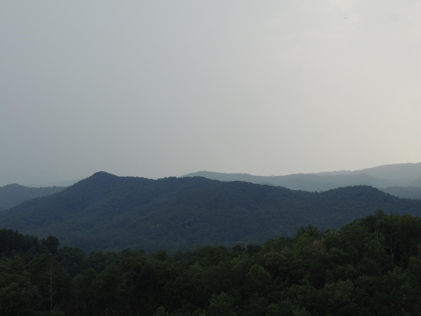 The Phoenix | Photo 75