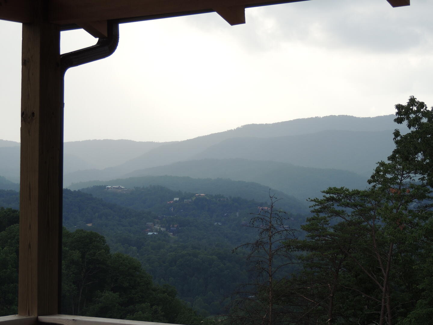 The Phoenix | Photo 79