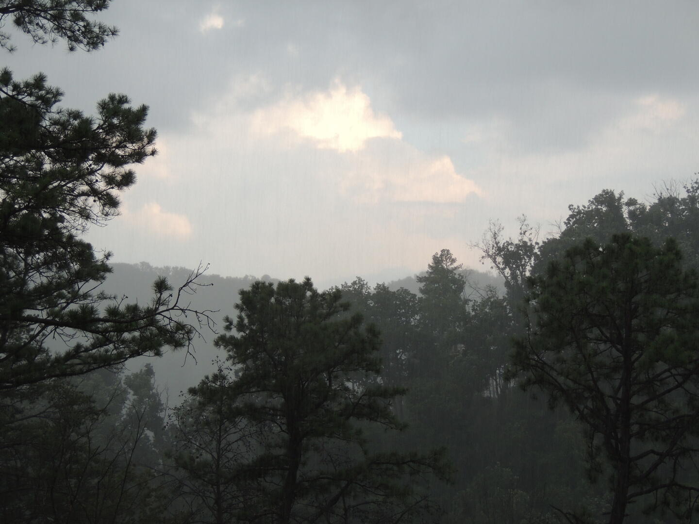 The Phoenix | Photo 78