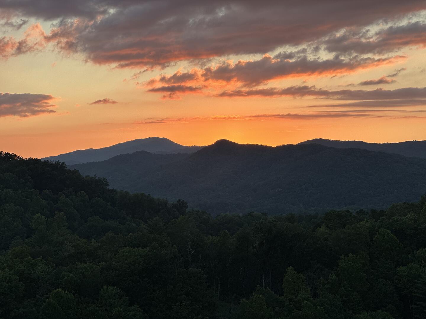 The Phoenix | Photo 74