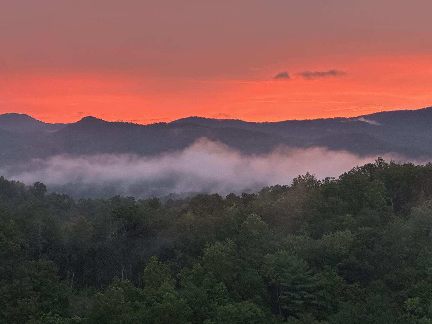 The Phoenix | Photo 77