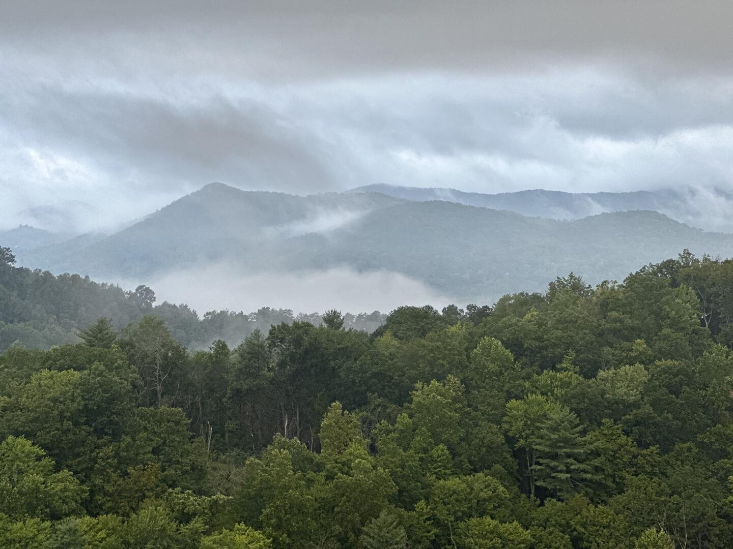 The Phoenix | Photo 73