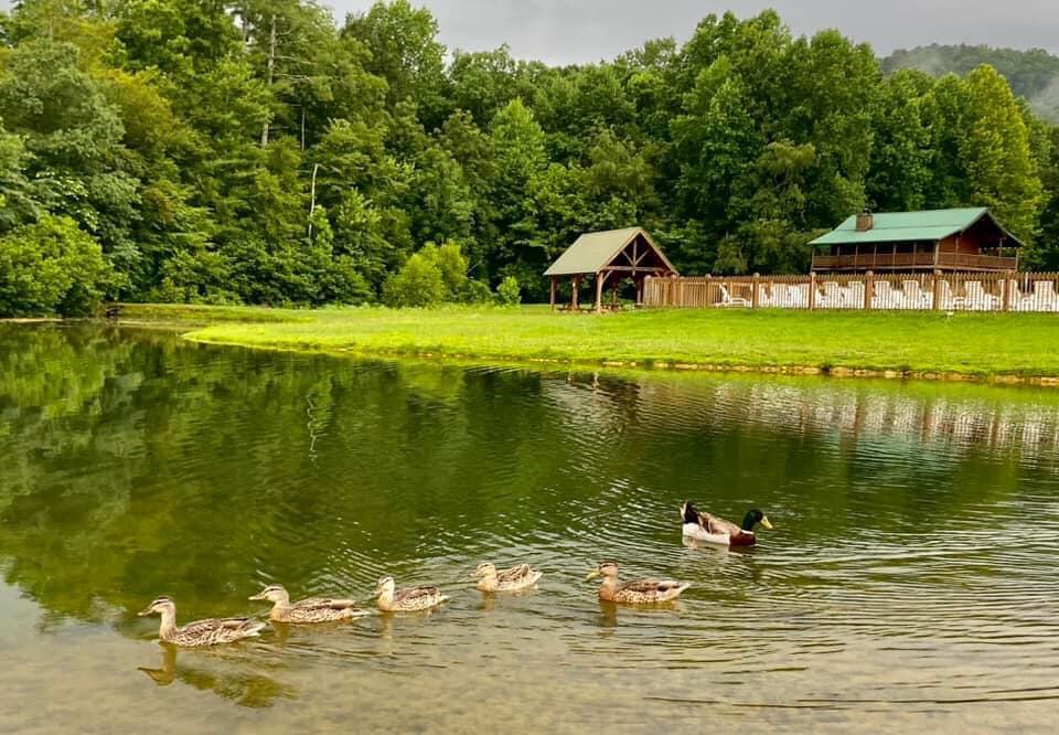 Adventure Lodge | Photo 57