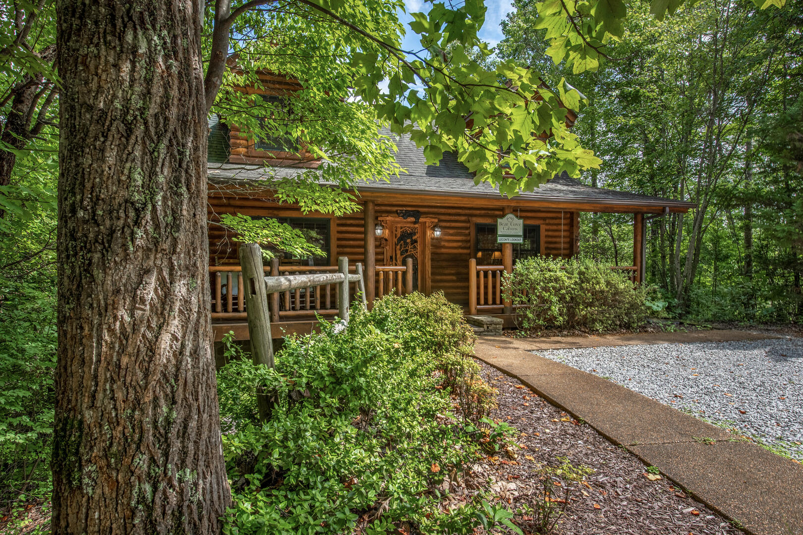 LeConte Lookout | Photo 19