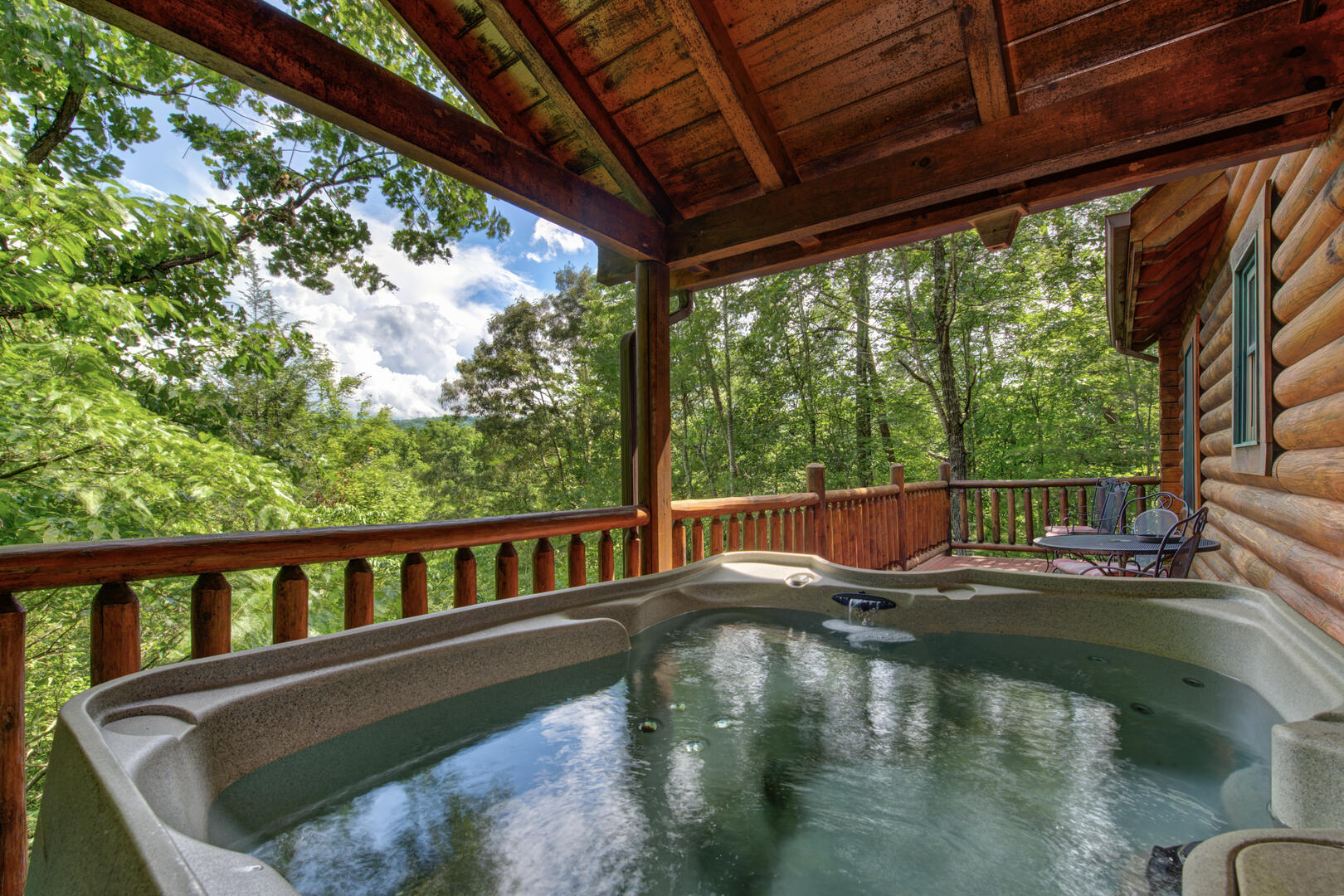 LeConte Lookout | Photo 18