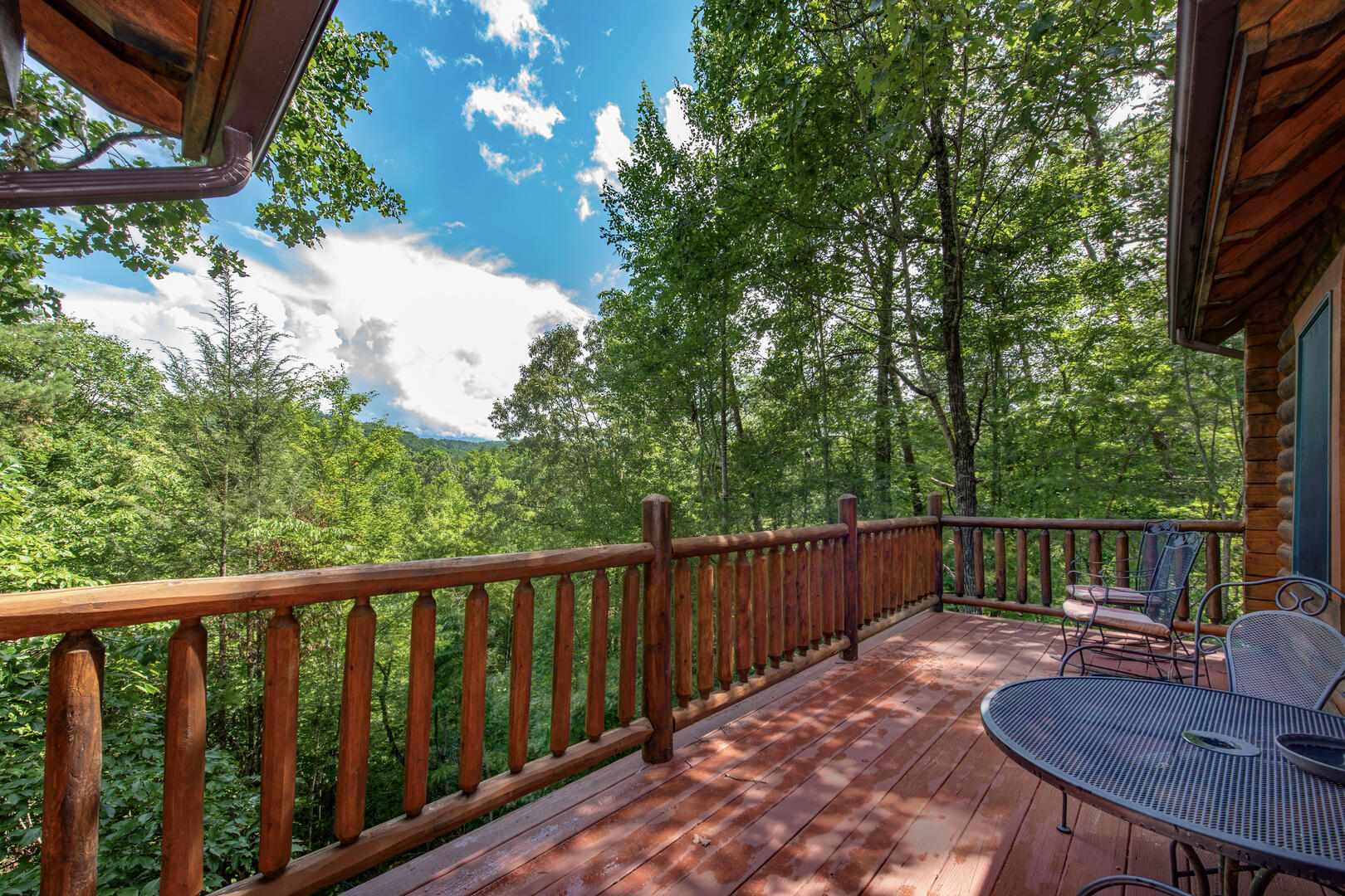 LeConte Lookout | Photo 24