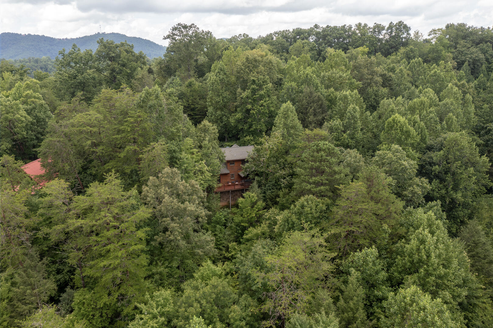 LeConte Lookout | Photo 29