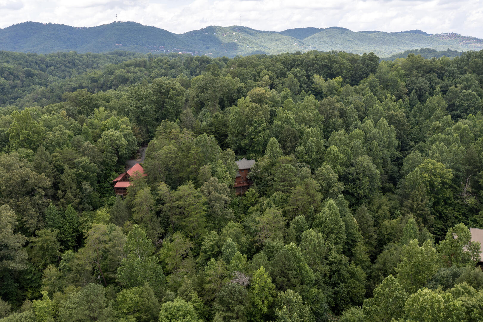 LeConte Lookout | Photo 30