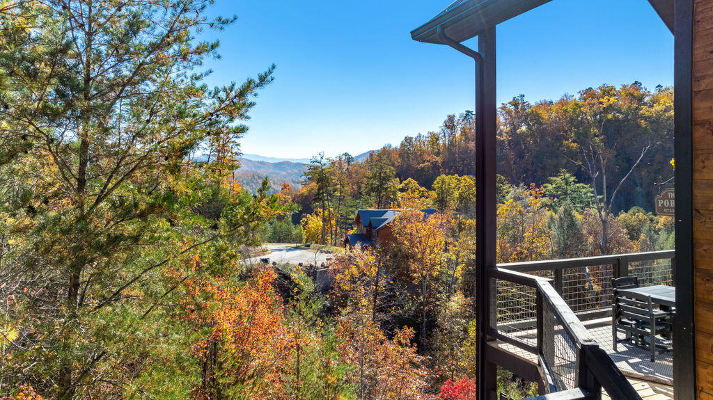 Peaceful Paradise | Photo 67