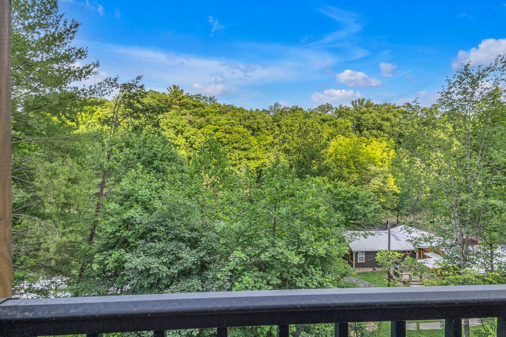 Friendly Bear Plunge | Photo 36