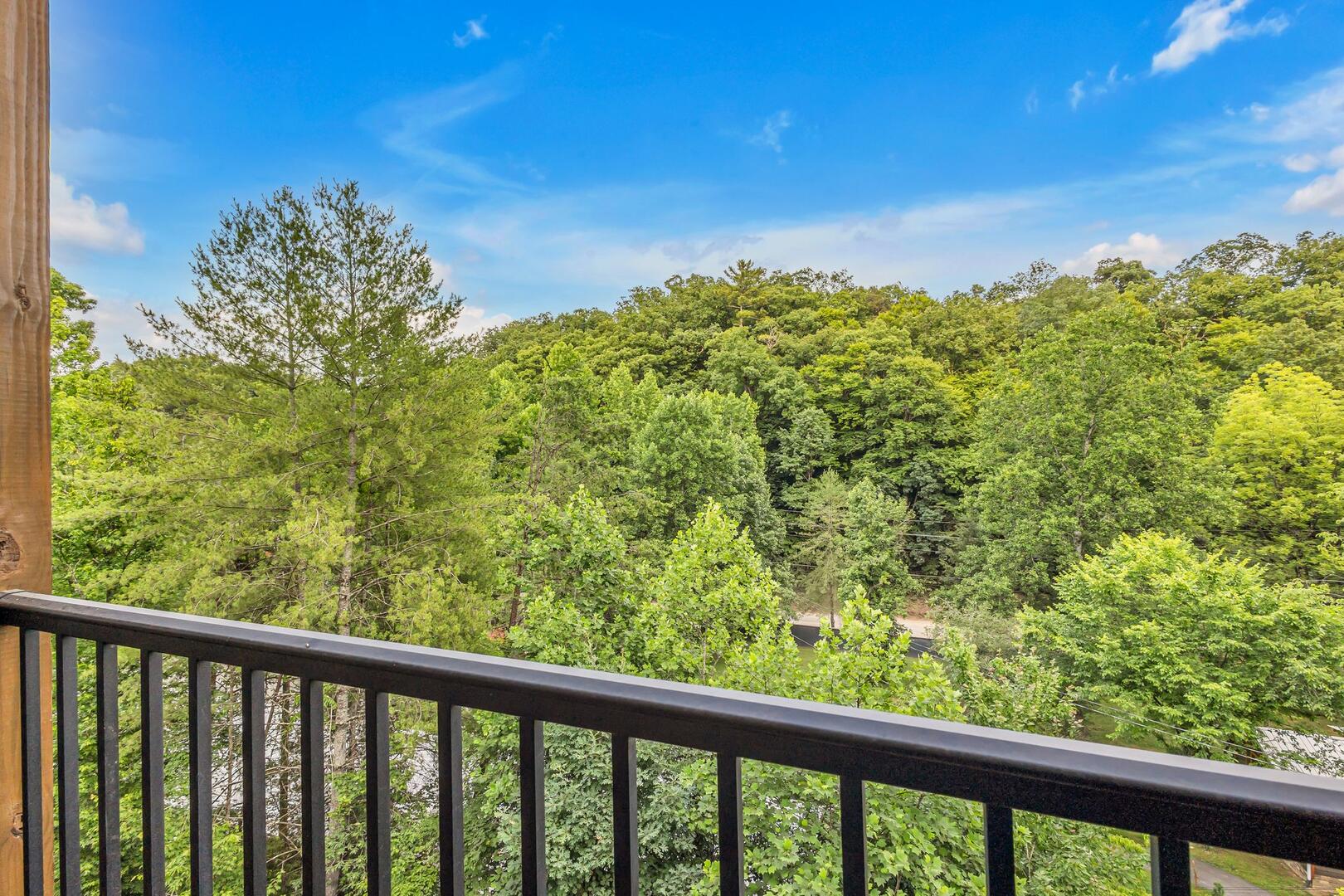 Friendly Bear Plunge | Photo 13