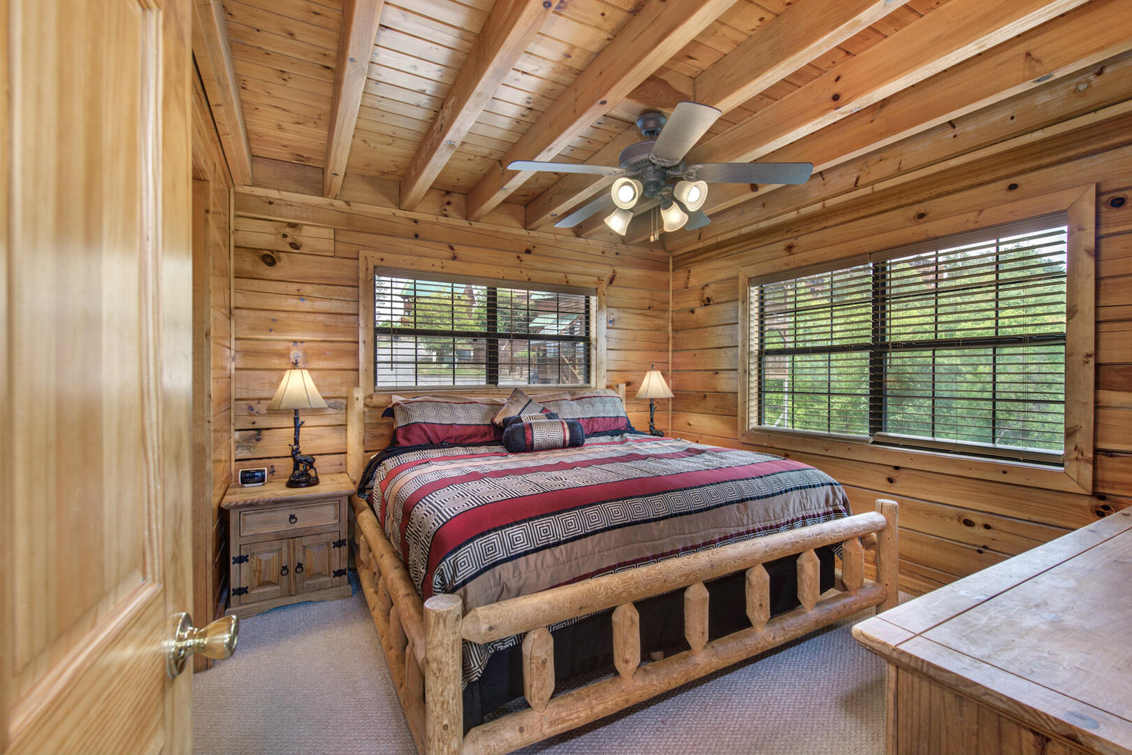 Rejuvenation | Photo 101