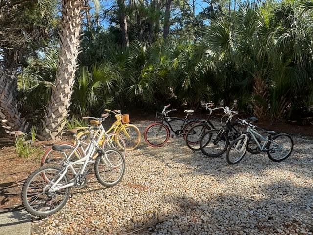 375 Sea Bass | Photo 40