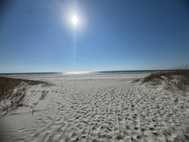 375 Sea Bass | Photo 57