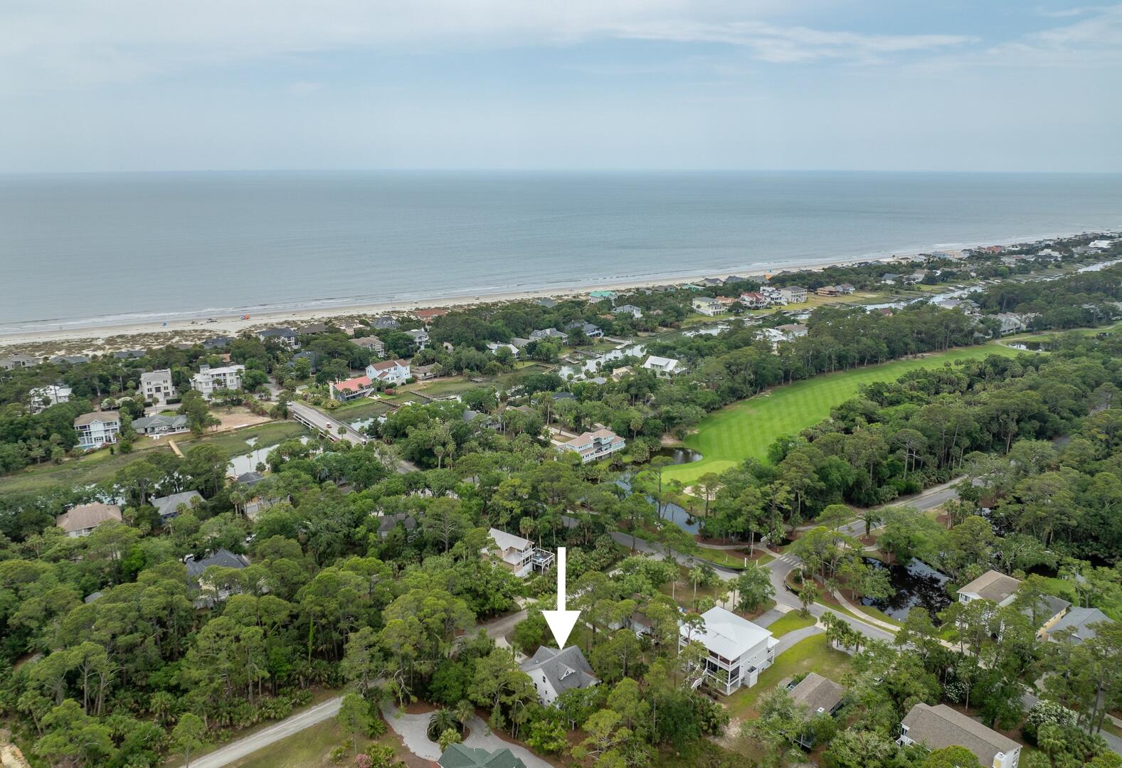 375 Sea Bass | Photo 54