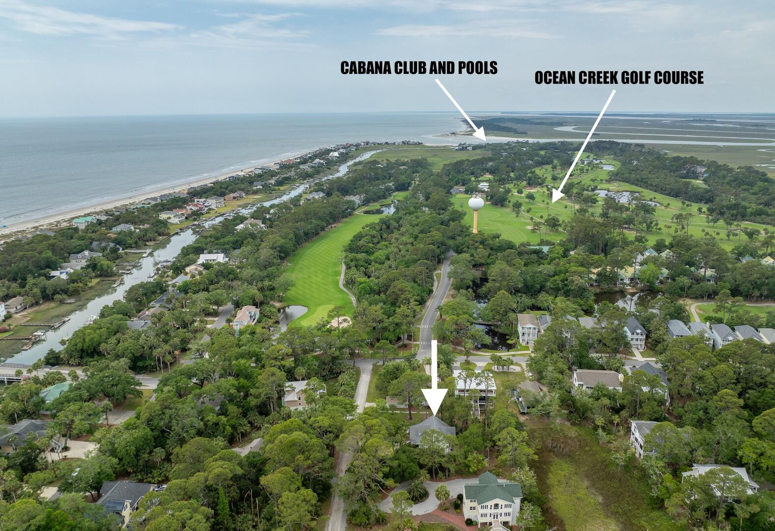 375 Sea Bass | Photo 53