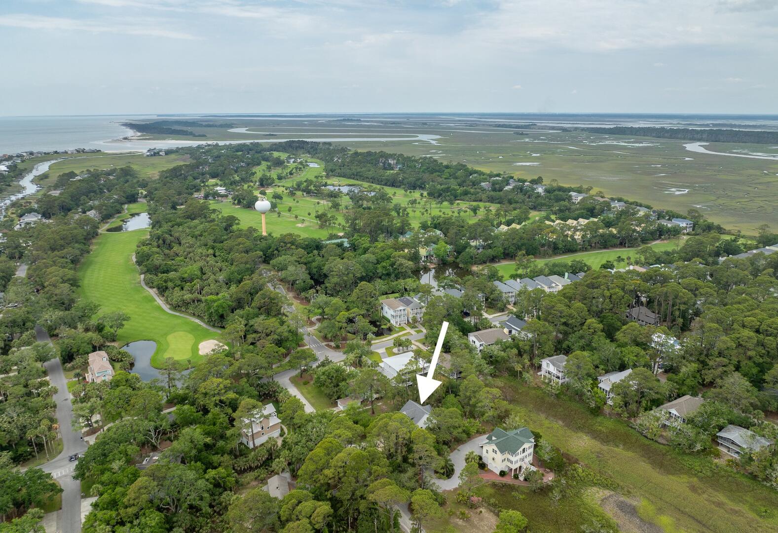 375 Sea Bass | Photo 52