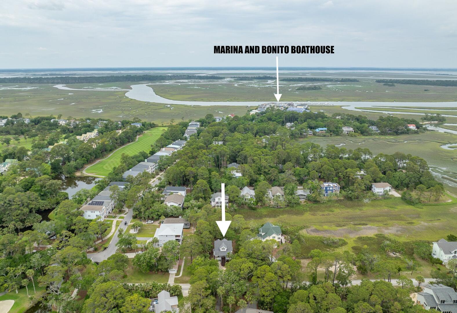 375 Sea Bass | Photo 51