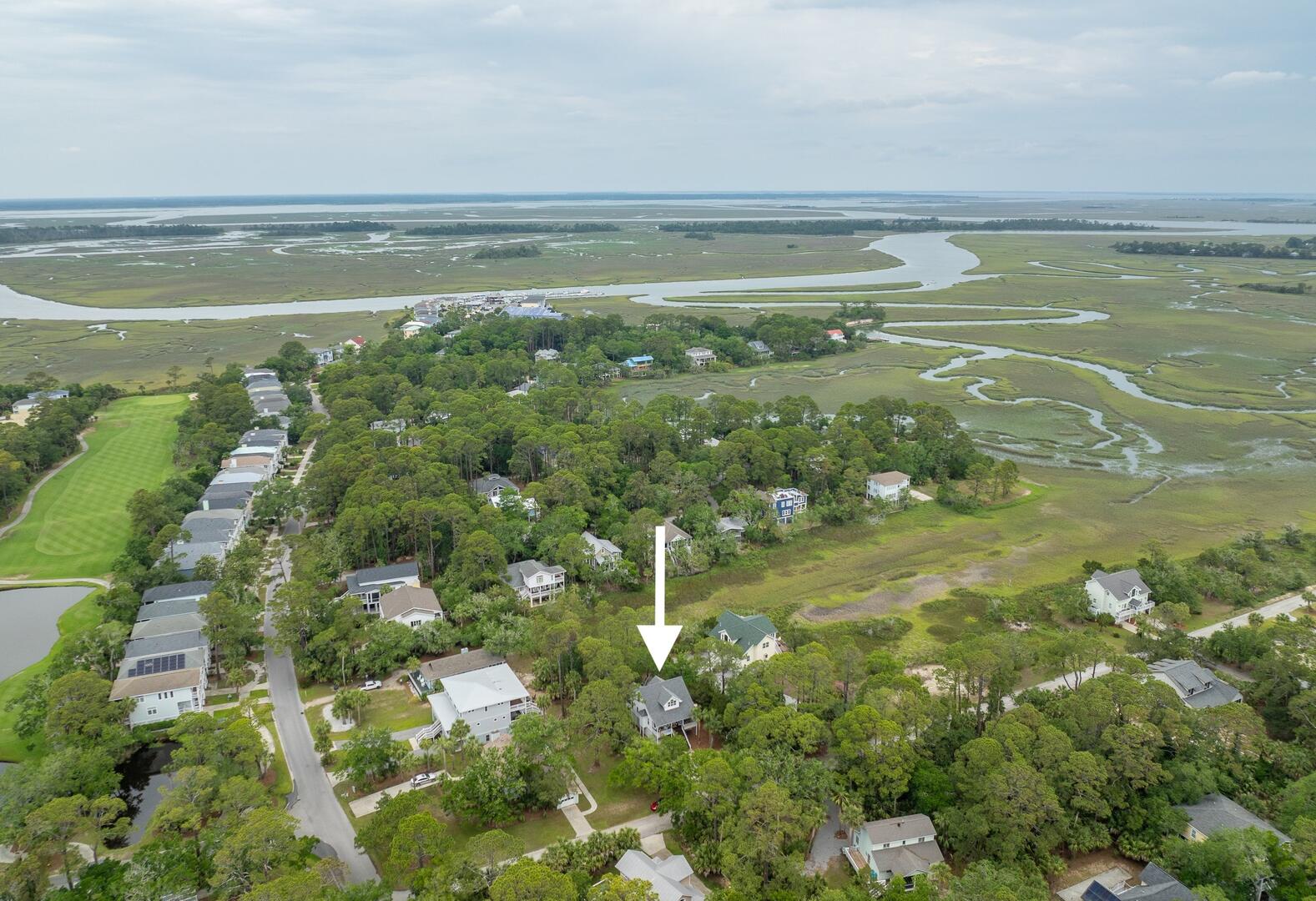 375 Sea Bass | Photo 50