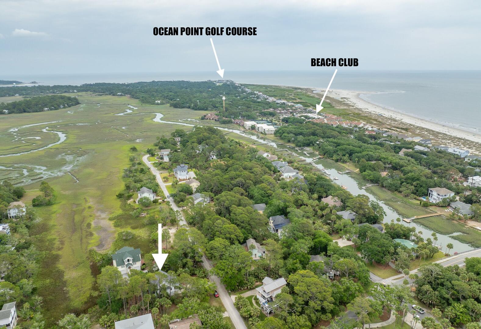 375 Sea Bass | Photo 48