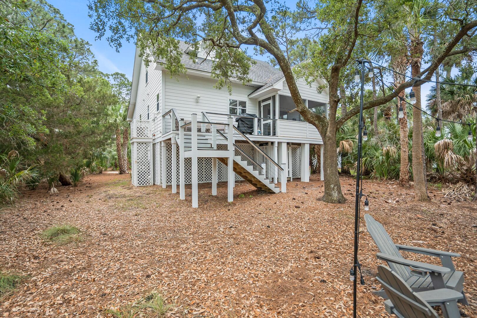 375 Sea Bass | Photo 37